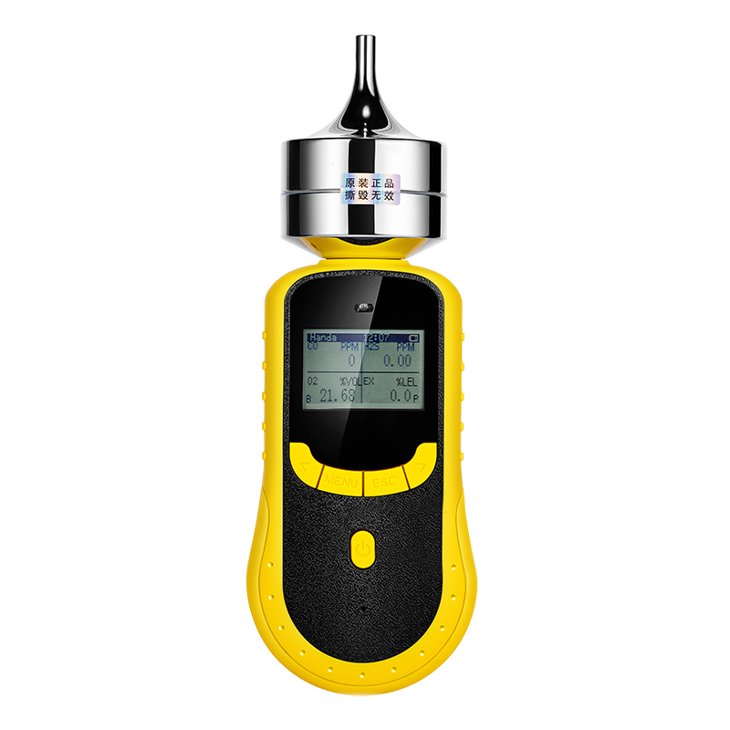 復(fù)合式氣體檢測(cè)儀系列